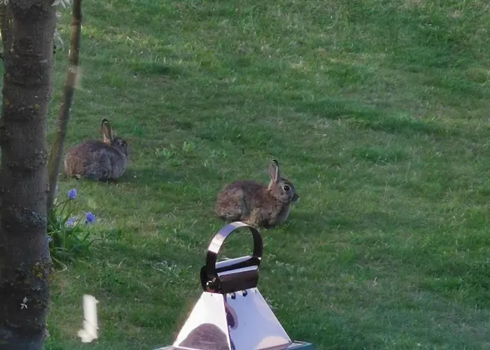 Nyaraló Haus Am Hennesee